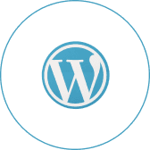 wordpress technology icon for ecommerce website development
